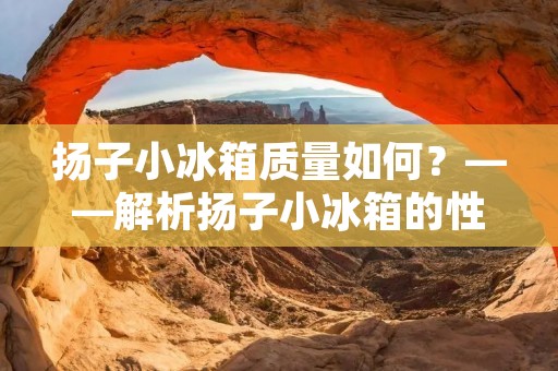 扬子小冰箱质量如何？——解析扬子小冰箱的性能和品质