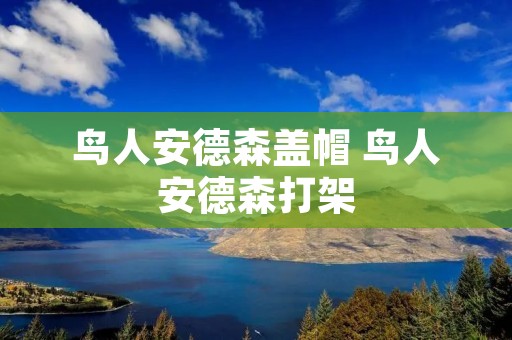 鸟人安德森盖帽 鸟人安德森打架