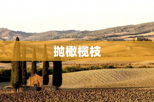 抛橄榄枝:构建和谐友好的人际关系
