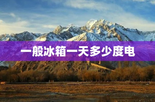一般冰箱一天多少度电：详细解析