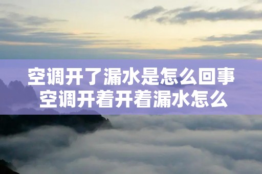 空调开了漏水是怎么回事 空调开着开着漏水怎么办