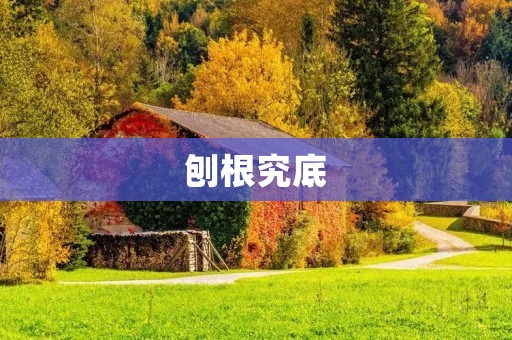 刨根究底:揭开事物真相的探索之旅