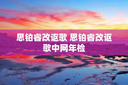 思铂睿改讴歌 思铂睿改讴歌中网年检