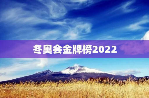冬奥会金牌榜2022：中国冰雪健儿勇夺冠军