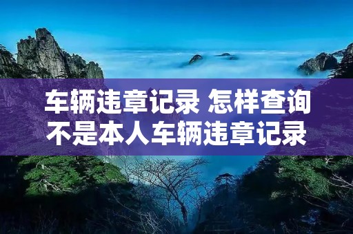 车辆违章记录 怎样查询不是本人车辆违章记录 车辆违章记录 怎样查询不是本人车辆违章记录