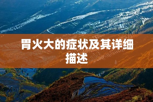 胃火大的症状及其详细描述