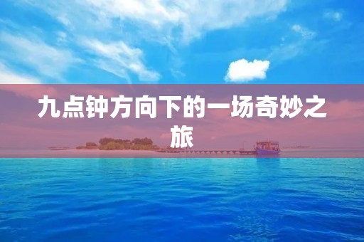 九点钟方向下的一场奇妙之旅 九点钟方向下的一场奇妙之旅