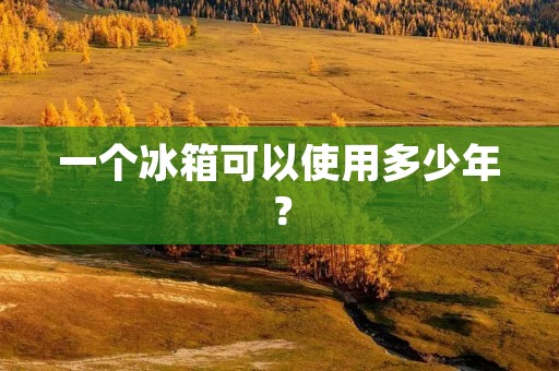 一个冰箱可以使用多少年？
