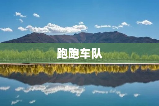 跑跑车队:燃烧激情,追逐速度的天堂
