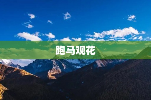 跑马观花:细致观察绽放的美丽