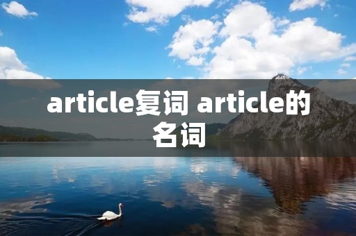 article复词 article的名词