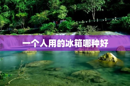 一个人用的冰箱哪种好