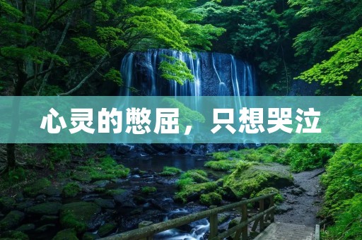 心灵的憋屈,只想哭泣
