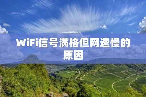 WiFi信号满格但网速慢的原因