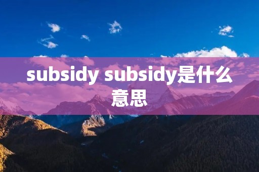 subsidy subsidy是什么意思