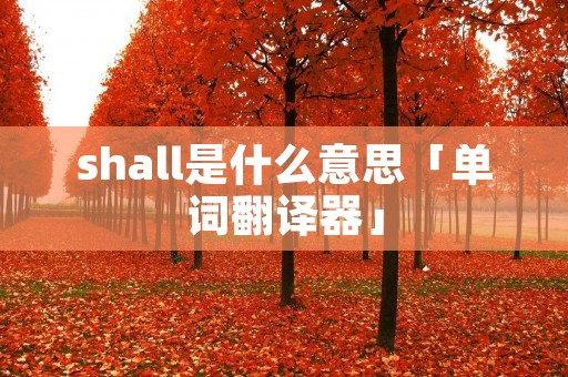 shall是什么意思「单词翻译器」