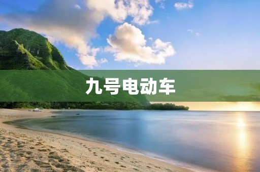 九号电动车:革命性的出行方式 九号电动车:革命性的出行方式
