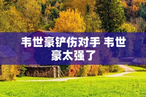 韦世豪铲伤对手 韦世豪太强了