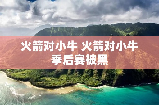 火箭对小牛 火箭对小牛季后赛被黑