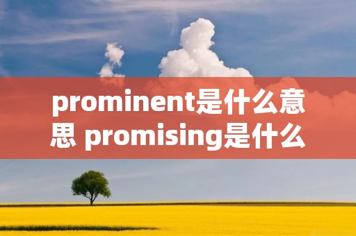 prominent是什么意思 promising是什么意思啊 prominent是什么意思 promising是什么意思啊