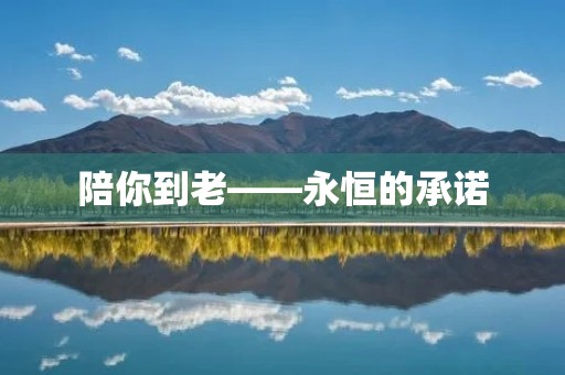 陪你到老——永恒的承诺