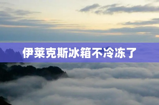 伊莱克斯冰箱不冷冻了:原因分析与解决方法 伊莱克斯冰箱不冷冻了:原因分析与解决方法