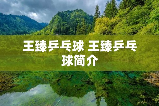 王臻乒乓球 王臻乒乓球简介 王臻乒乓球 王臻乒乓球简介