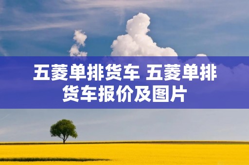 五菱单排货车 五菱单排货车报价及图片