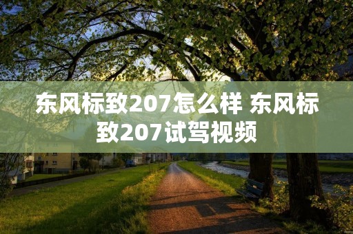 东风标致207怎么样 东风标致207试驾视频
