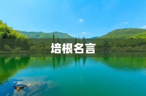 培根名言:探索真理的智慧与勇气