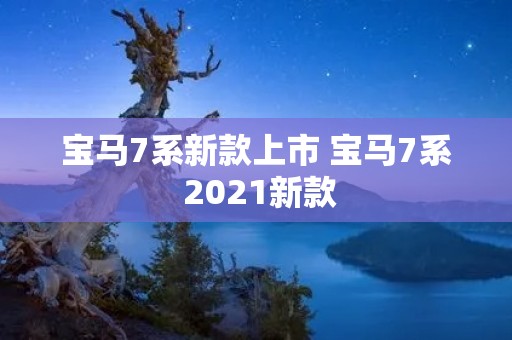 宝马7系新款上市 宝马7系 2021新款 宝马7系新款上市 宝马7系 2021新款