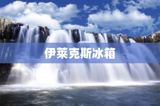 伊莱克斯冰箱：产地之谜