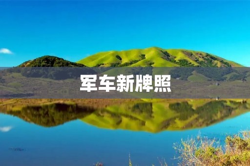军车新牌照：为军队装备提供更高效的管理和保障