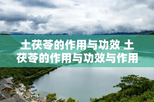 土茯苓的作用与功效 土茯苓的作用与功效与作用