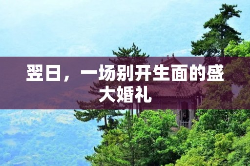 翌日,一场别开生面的盛大婚礼