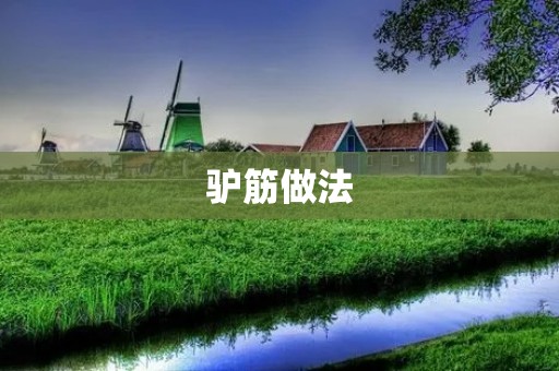 驴筋做法：美味佳肴的制作秘籍