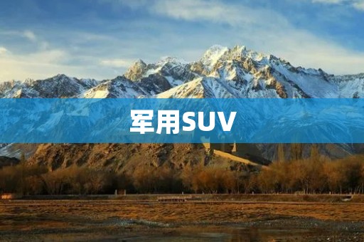 军用SUV：强大的战场利器