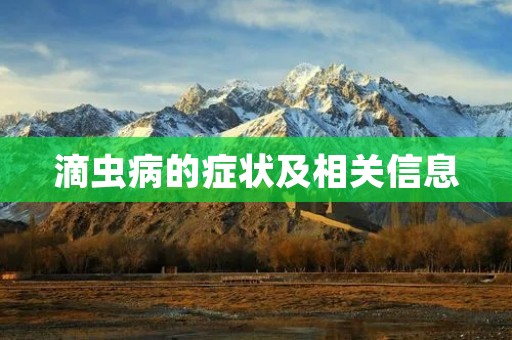滴虫病的症状及相关信息
