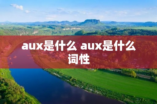 aux是什么 aux是什么词性
