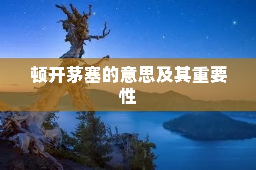顿开茅塞的意思及其重要性