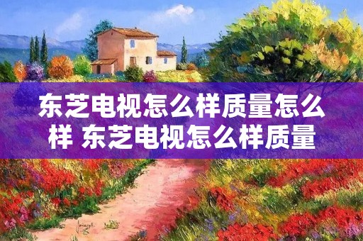 东芝电视怎么样质量怎么样 东芝电视怎么样质量怎么样知乎