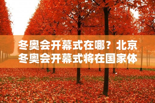 冬奥会开幕式在哪？北京冬奥会开幕式将在国家体育场举行