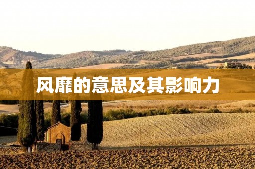 风靡的意思及其影响力