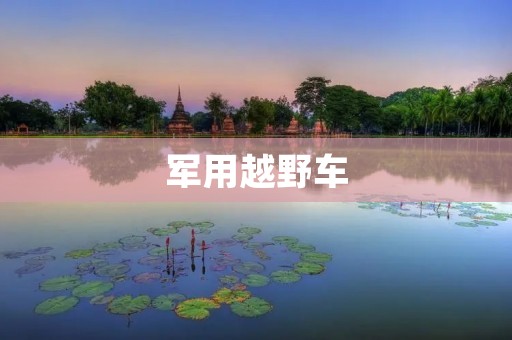 军用越野车：强大机动力与卓越性能的完美结合