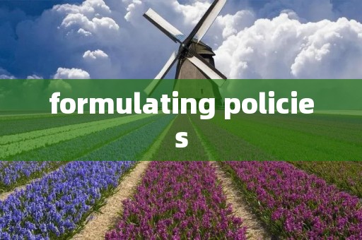 formulating policies formulating policies