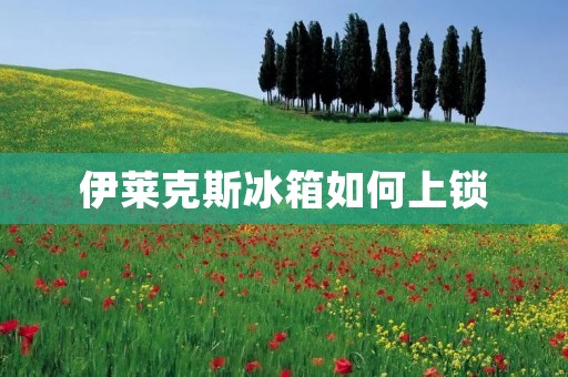 伊莱克斯冰箱如何上锁 伊莱克斯冰箱如何上锁