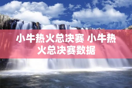 小牛热火总决赛 小牛热火总决赛数据