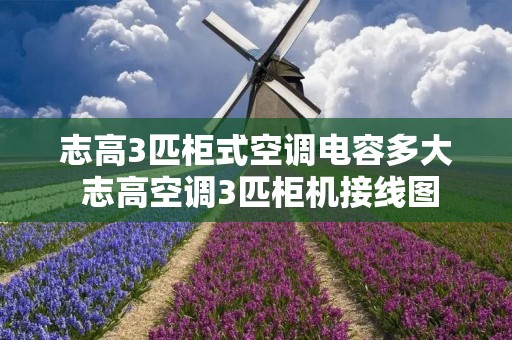 志高3匹柜式空调电容多大 志高空调3匹柜机接线图