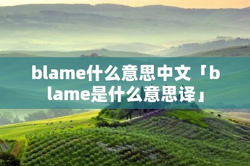 blame什么意思中文「blame是什么意思译」