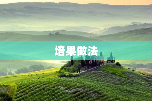 培果做法：如何制作美味可口的培果